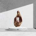 Centre de Jambon Ibérique 50% Bellota - PLANET IBERIC